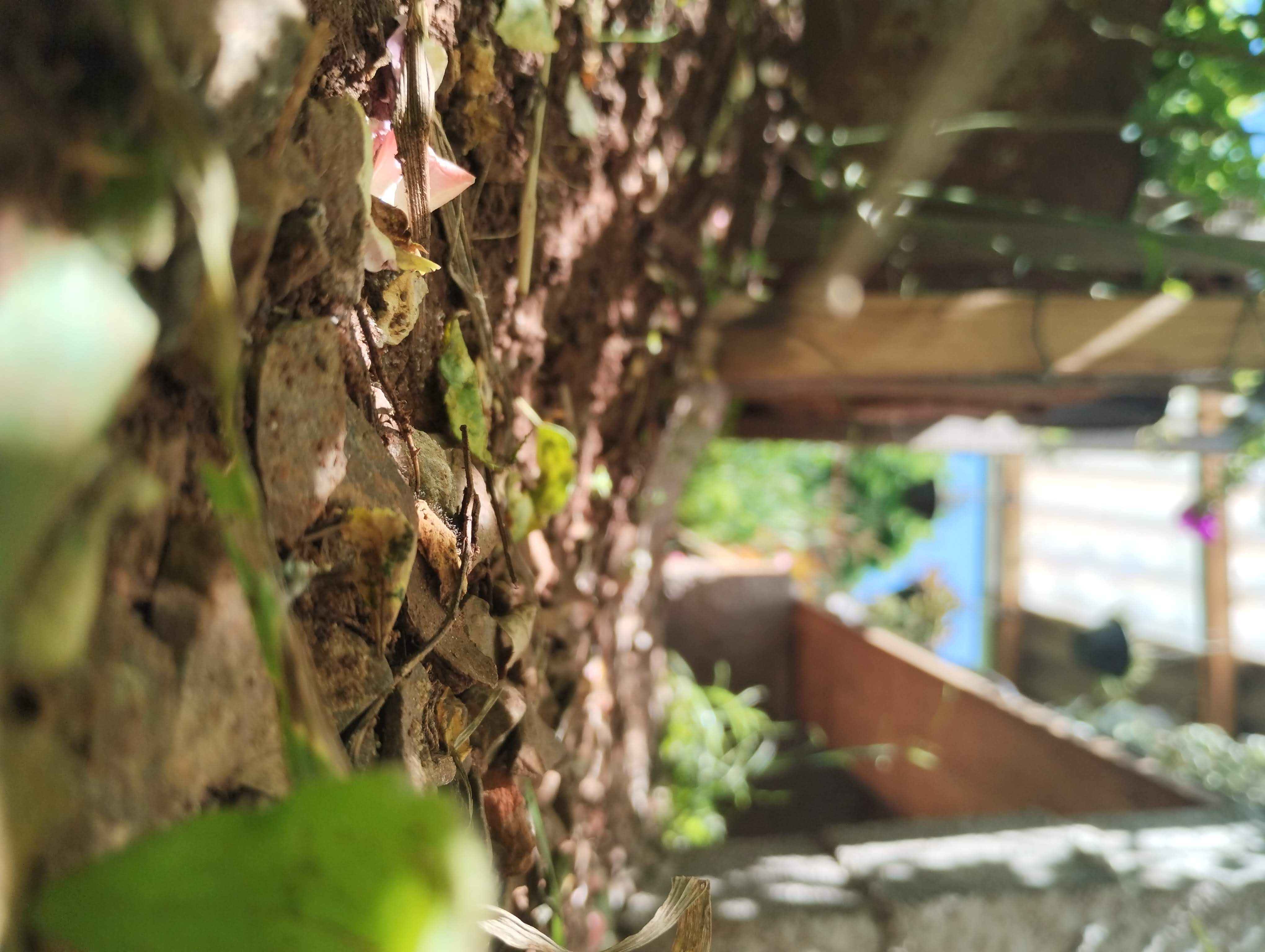 Fotografia original utilizada no projeto, consiste em uma foto de um pequeno canteiro de plantas coberto, com a perspectiva rente ao chão e em direção ao toldo do local